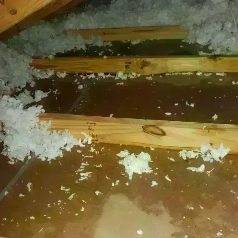 Attic Water Damage in Whiteville, TN